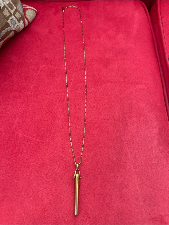 Stella & Dot Jewelry - Stella & Dot Gold Long Vertical Pendant Necklace